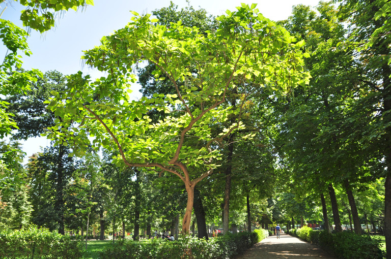 Pantano de Guillena (Sevilla)