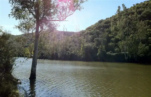 Pantano de Guillena (Sevilla)